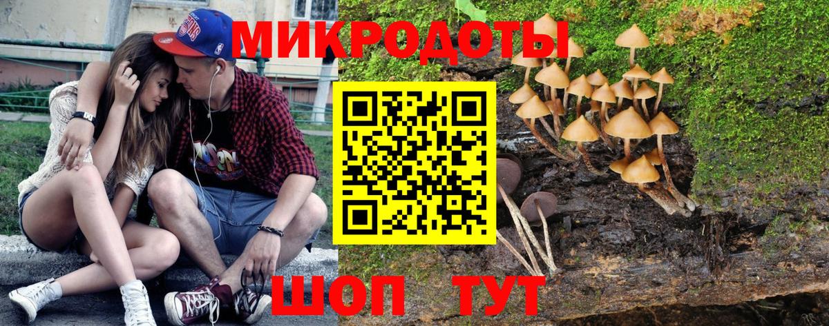 Малгобек  Галлюциногенные грибы Magic Shrooms  Вход с VPN  Псилоцибиновые грибы прущие грибы 