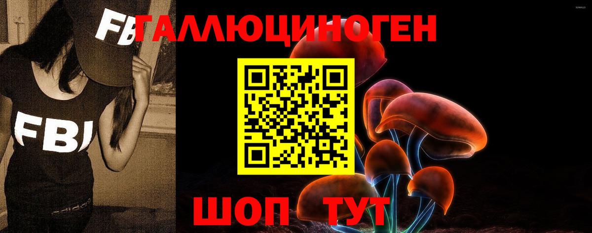 Псилоцибиновые грибы прущие грибы Малгобек